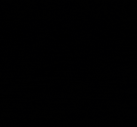 alternative text